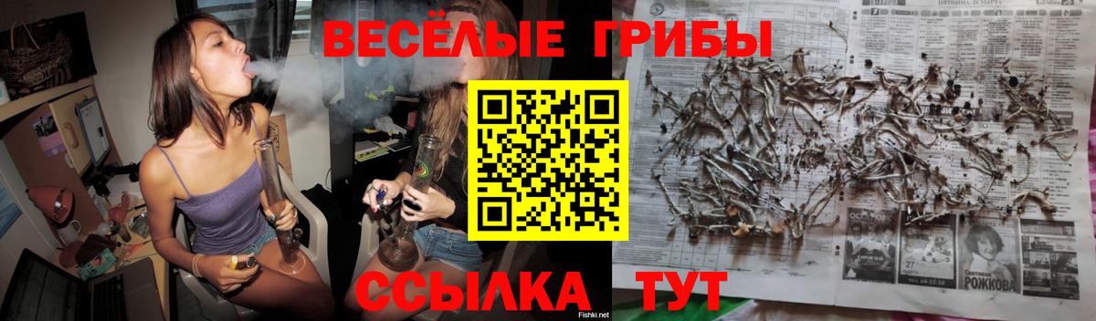 Псилоцибиновые грибы ЛСД Чебоксары